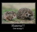 Фотография Архангельская Екатерина