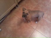 Фотография Менгисанова Тимура