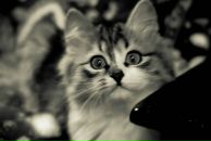 Фотография Назаровой Татьяны