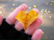 Фотография Alekseeva Vera