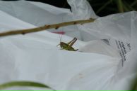 Андрій Світлицький фотография #18 (источник - https://vk.com/id2321783)