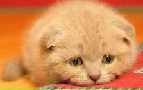 Фотография Ботвиной Нинули