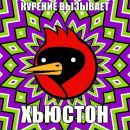 Фотография Вомбатова Кирилла