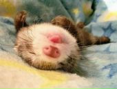 Фотография Маляренко Зои