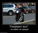 Фотография Артеменко Виктора