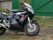 Фотография  