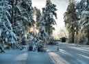 Фотография Кондратьевой Галины