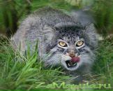 Фотография Лазуковой Саши