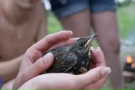 Фотография Герасимовой Елены