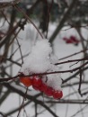 Фотография Горбуновой Анны
