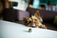 Фотография Сарваровой Юлии