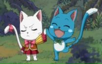 Светлана Blackcat фотография #39 (источник - https://vk.com/id2403360)