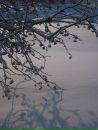 Фотография Праздник Ольги