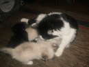 Коля Корнійчук фотография #6 (источник - https://vk.com/id168844974)