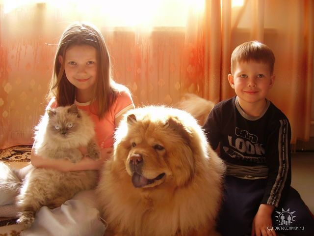 Люда Савельева фото №1