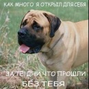 Наталі Плахотнік фотография #13 (источник - https://vk.com/id120307276)