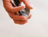 Фотография Малышевой Марии