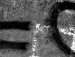 Єлизавета Ляшук фотография #17 (источник - https://vk.com/id134011305)