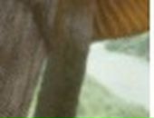 Марія Штонь фотография #36 (источник - https://vk.com/id72296255)