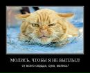 Віктор Бряник фотография #47 (источник - https://vk.com/id204540707)