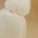 Ірина Швець фотография #16 (источник - https://vk.com/id146166672)