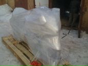 Дэн Собакарь фотография #34 (источник - https://vk.com/id5934169)