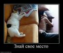 Ростік Харламов фотография #35 (источник - https://vk.com/id135758390)