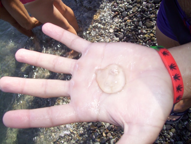 Иван Поляков фотография #45