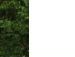 Валерій Барабаш фотография #31 (источник - https://vk.com/id15164291)