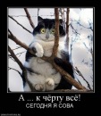 Фотография Ярослав Яровой