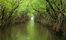 Анна Мещерякова фотография #19 (источник - https://vk.com/id1933492)