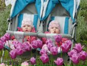 Фотография Швецовой Галины