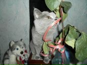 Ольга Χохлова фотография #1