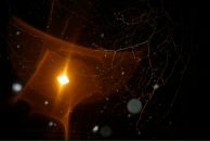 Андрей Разбаш фотография #31 (источник - https://vk.com/id4143399)