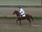 Фотография Волженцевой Елены