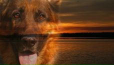 Фотография Клименко Михаила