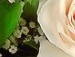 Іванка Зубенко фотография #49 (источник - https://vk.com/id100080283)