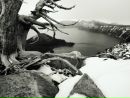 Фотография Пестова Валентина