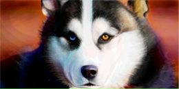 Фотография Машенкова Александра