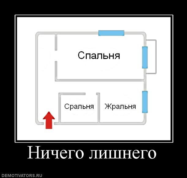 Руслан Мышкин фотография #35