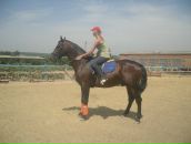 Фотография Пасынок Ксении