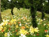 Тася Зая фотография #1