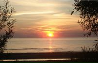 Daffa Downdilly фотография #20 (источник - https://vk.com/id4198329)
