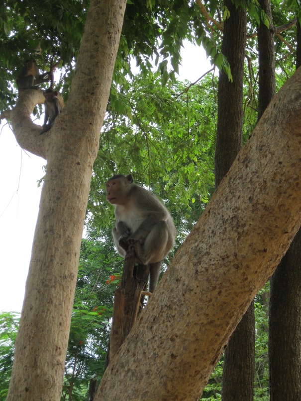 Павел Баш фотография #49
