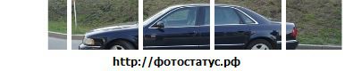 Фотография Сергей Бородавкин
