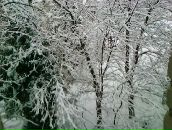 Фотография Чемерис Евгений