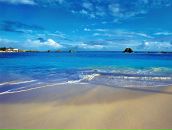 Фотография Ахмедова Ахмеда