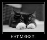 Фотография Колесниковой Ксении