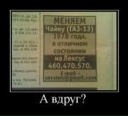 Ірина Редько фотография #31 (источник - https://vk.com/id55667456)
