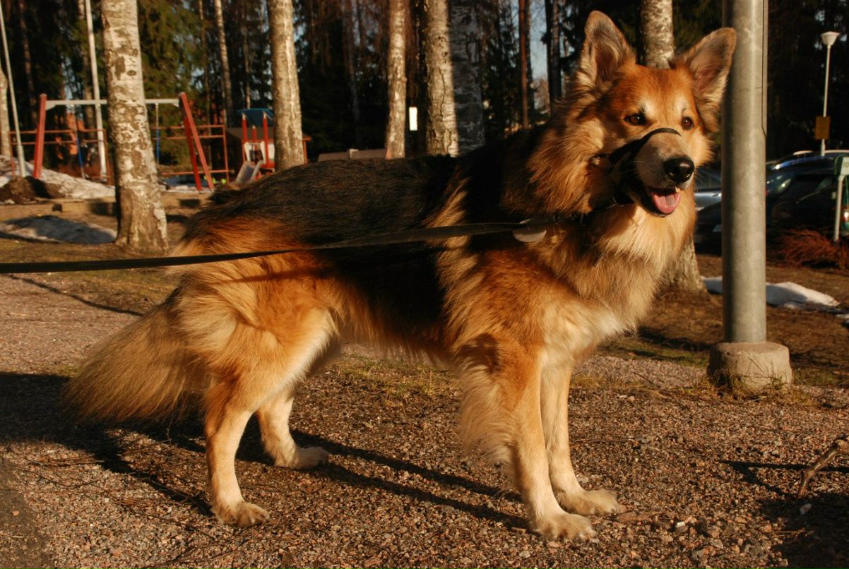 Julia Timonen фотография #32